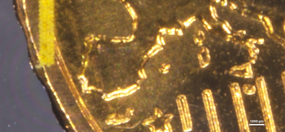 VLNL 0433 Biomat on microfluidic chip