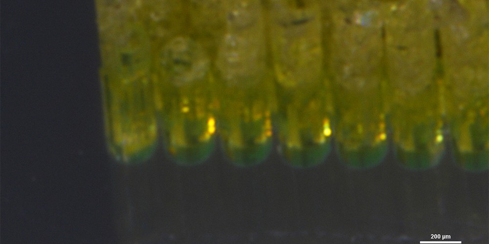 VLNL 0433 Biomat on microfluidic chip_1