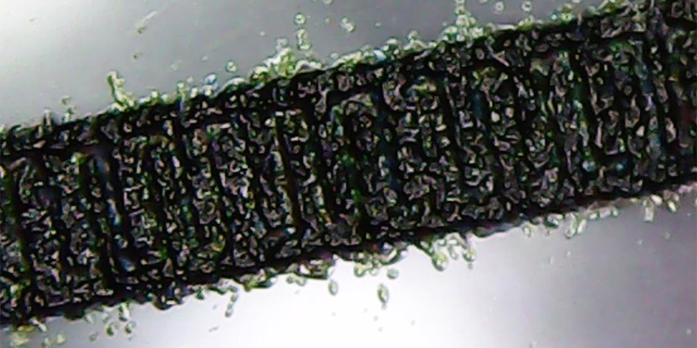 VLNL 0433 Biomat on microfluidic chip_2