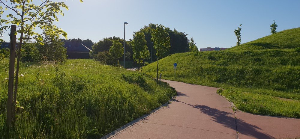 1205 Aanleg van een fietsbrug over de N21 in Steenokkerzeel_2