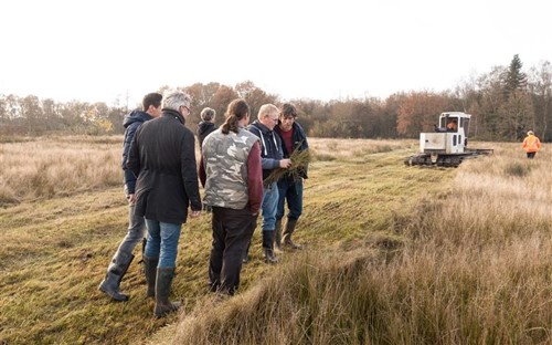 GrasGoed - Natuurlijk Groen als Grondstof