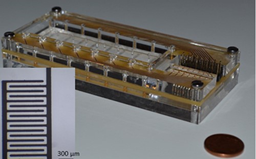 Biomat on microfluidic chip